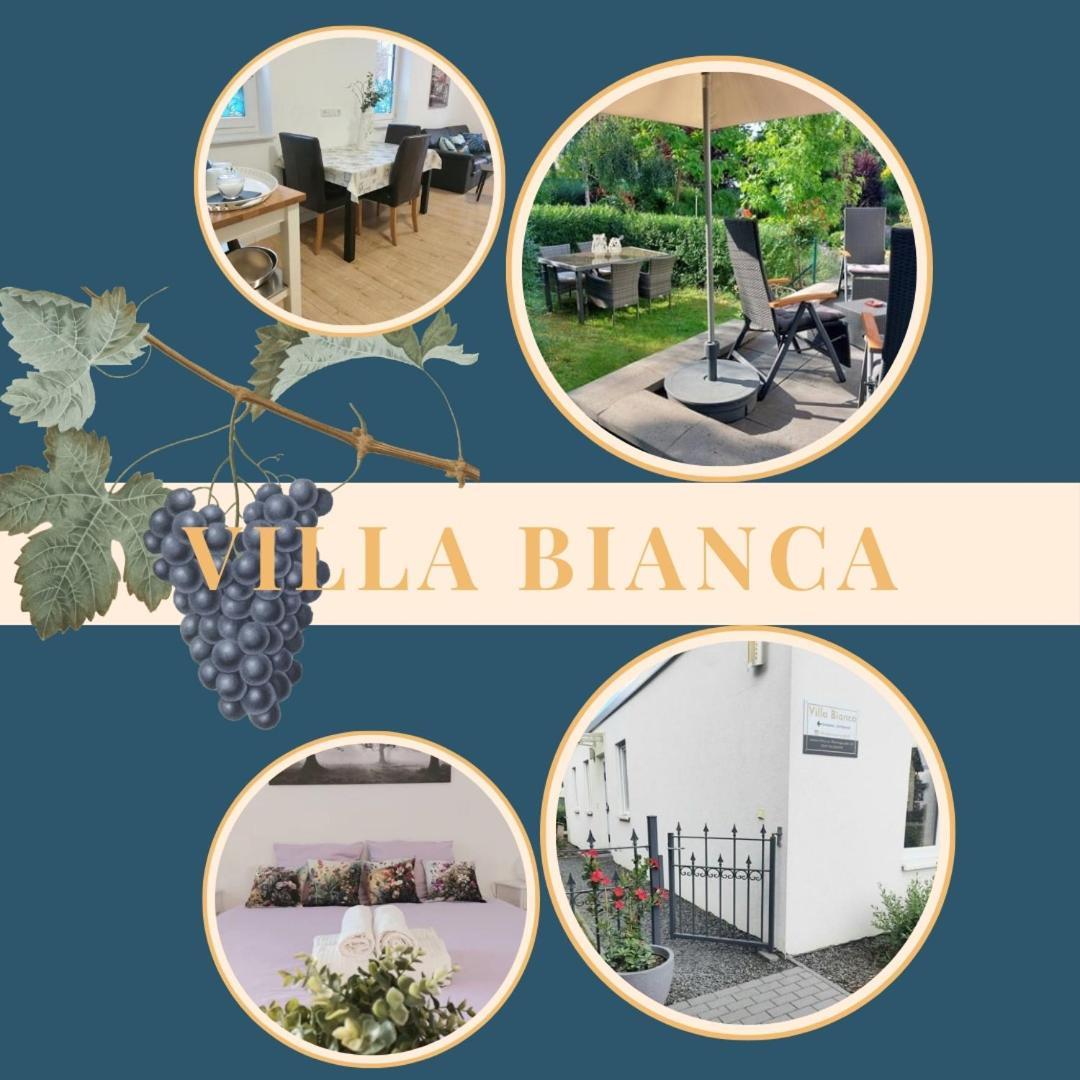 Appartement Bianca - & Business